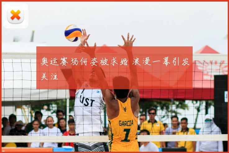 奥运赛场何姿被求婚 浪漫一幕引发关注