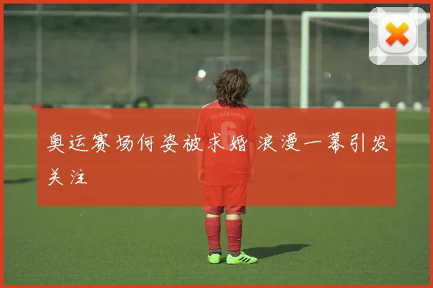 奥运赛场何姿被求婚 浪漫一幕引发关注