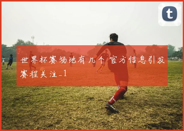 世界杯赛场地有几个 官方信息引发赛程关注_1