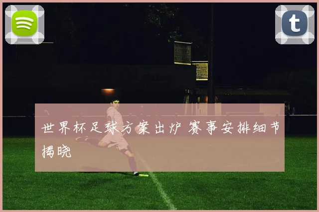 世界杯足球方案出炉 赛事安排细节揭晓
