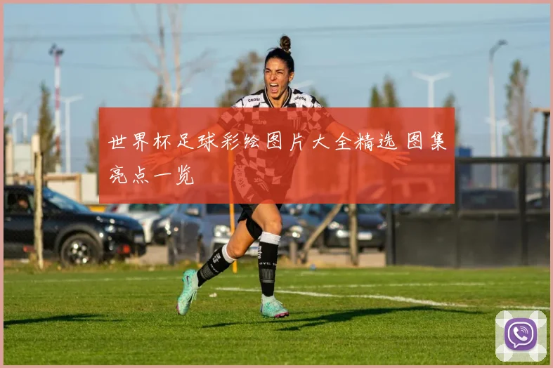 世界杯足球彩绘图片大全精选 图集亮点一览
